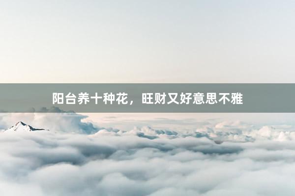 阳台养十种花，旺财又好意思不雅