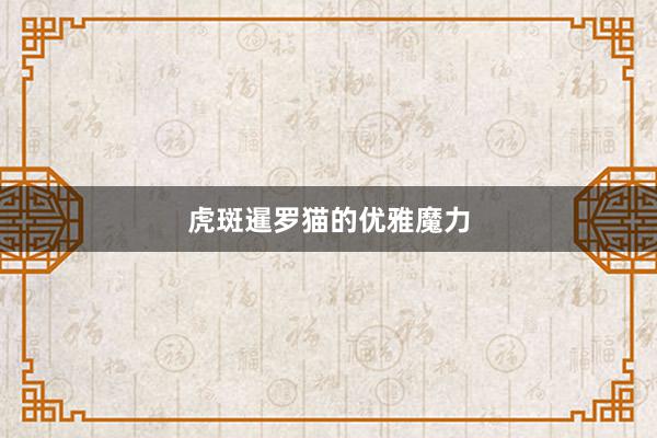 虎斑暹罗猫的优雅魔力